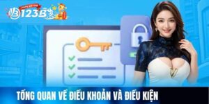 Nhà cái và người chơi đều có trách nhiệm thực hiện Điều khoản và Điều kiện 123B